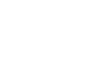 APEX Asset Management